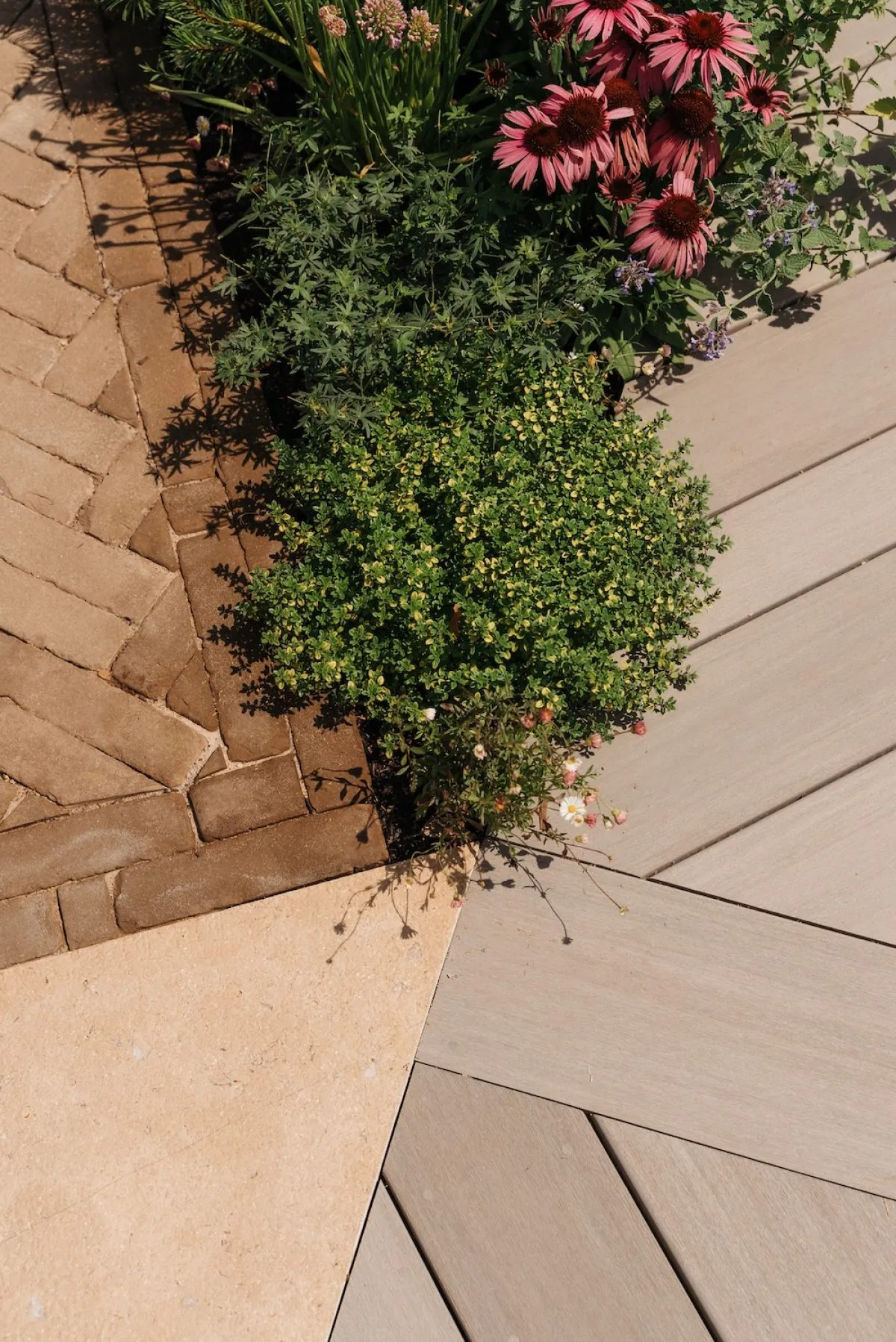Part of the multi width Elements Decking installation at RHS Hampton Court, where the decking meets the planting and stone work